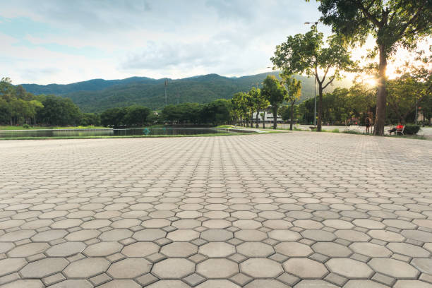 Best Driveway Pavers Near Me  in Crane, TX