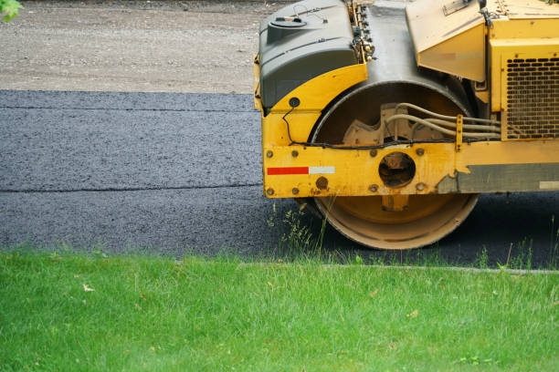 Best Concrete Paver Driveway  in Crane, TX