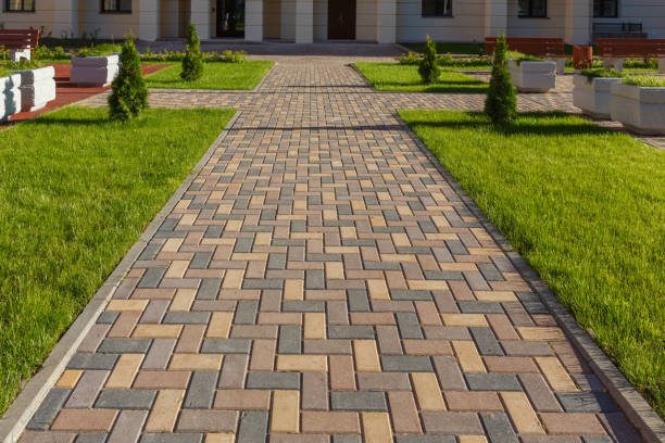 Best Driveway Pavers Near Me  in Crane, TX