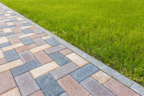 Best Driveway Pavers Contractor  in Crane, TX